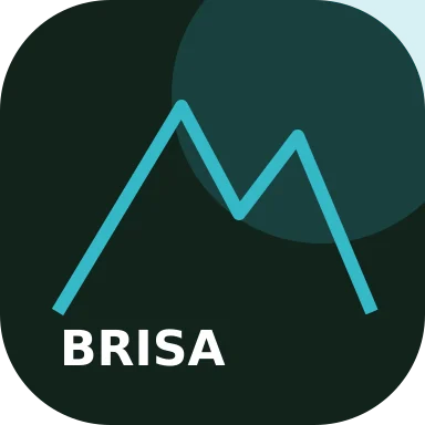 Logo de BRISA
